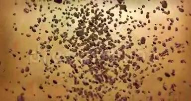 数码动画咖啡豆在金色背景上的漩涡中飞舞，淡出，循环无缝